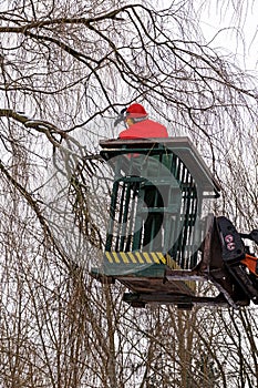 Tree pruning, lumberjack with a chainsaw on an elevated work pl