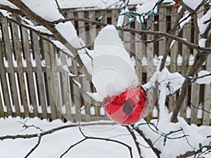 Tree with red Christmas ornaments and snow