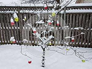 Tree with red and yellow Christmas ornaments and snow