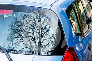 Tree reflected in car window