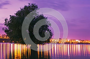 Tree reflected in water with city lights in the background at sunset