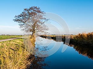Tree reflecting in water of canal in polder Eempolder in province of Utrecht, Netherlands