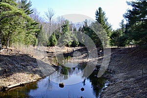 Tree reflections across lake along hiking trail at Copeland Forest