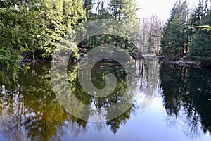 Tree reflections across lake along hiking trail at Copeland Forest