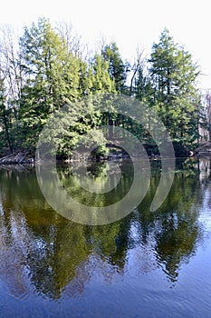 Tree reflections across lake along hiking trail at Copeland Forest