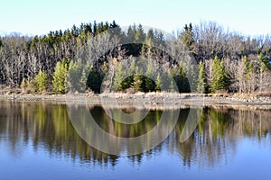 Tree reflections on Christie Lake in late afternoon