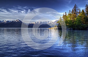Tree reflections in the Turnagain Arm