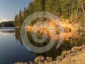 Tree reflections in water, early spring landscape