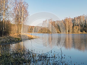 Tree reflections in water, early spring landscape