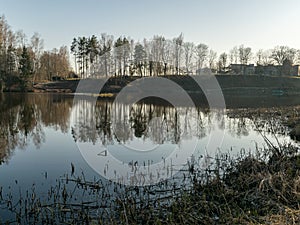 Tree reflections in water, early spring landscape