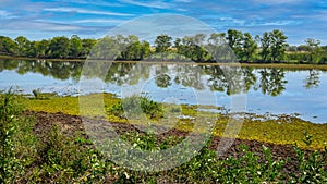 Tree reflections in the waters of Lake Han.