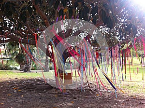 Tree and ribbons