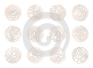 Tree ring clipart, vector logo wood ring. Circle topography map stock illustration photo
