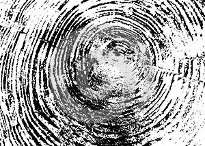 Tree ring, log, wood texture. Black and white. Vector illustration EPS 10 isolated on white background