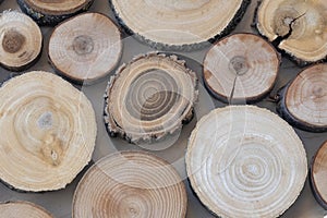 Tree rings attached to wall. Background image