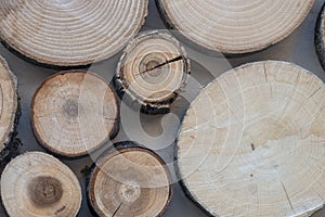 Tree rings attached to wall. Background image