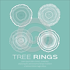 Tree rings background and saw cut tree trunk vector, forestry and sawmill.