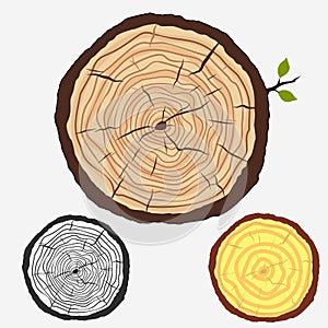 Tree rings, cut stump with forest trees. vector