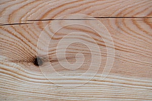Tree rings on a pine board. Wood texture close-up. Wooden background in the style of fresh chewed wood