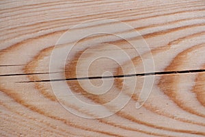 Tree rings on a pine board. Wood texture close-up. Wooden background in the style of fresh chewed wood
