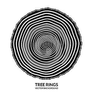 Tree rings and saw cut tree trunk symbol