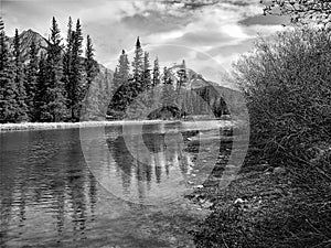 Tree and river reflection in river