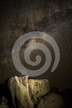 Tree and rocks under stars