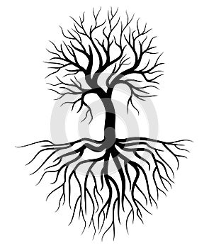 Tree and root Illustration Vector
