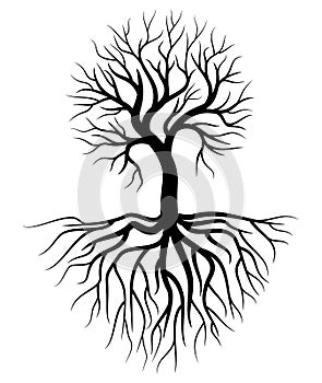 Tree and root Illustration Vector photo