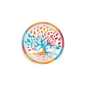 Tree root logo vector design illustration.