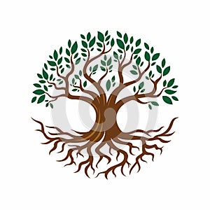 Tree and root design illustration photo