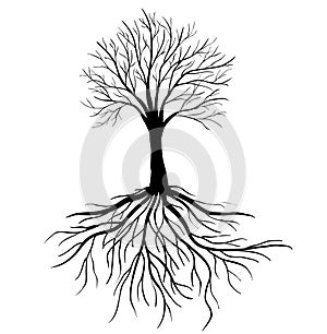 Tree with roots