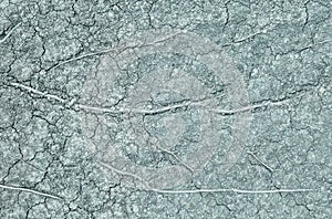 Tree roots background cracked soil drought.