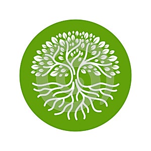 Tree roots circle logo badge modern Vector illustration