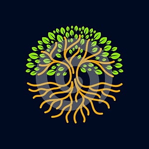 Un árbol raíces círculo designación de la organización o institución insignia ilustraciones 