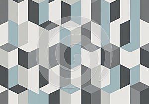 Tree roots extending from a bark-covered trunk show intricate