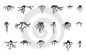 Tree roots isolated collection. Nature root silhouettes, stammer different plants. Abstract branches, trees life system