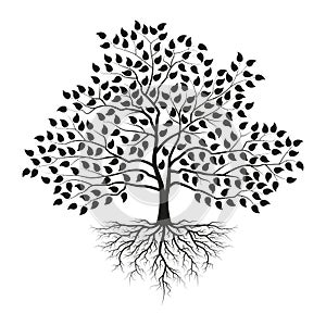 Tree with roots and leaves. Black silhouette. Vector illustration