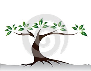 Tree Roots Logo