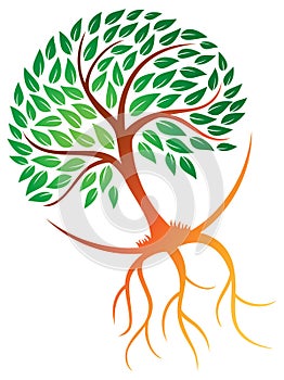 Un albero radici designazione dell'organizzazione o istituzione 