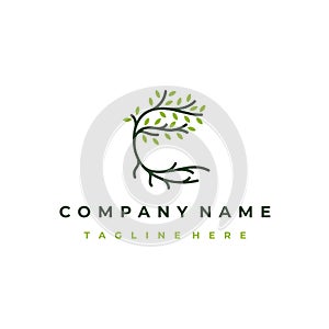Tree and roots logo design vector isolated, abstract tree logo design