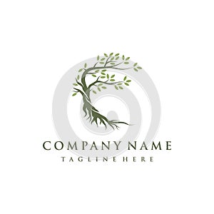 Tree and roots logo design vector isolated, abstract mangrove tree logo design