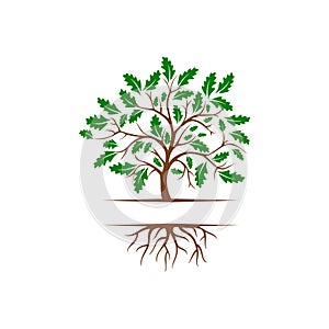 Tree with roots logo Isolated on white background