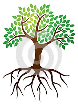 Strom kořeny označení organizace nebo instituce 