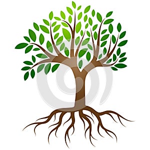 Tree roots logo vector