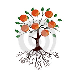 Tree with roots and ripe fruits cartoon image