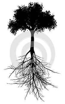 Tree with roots silhouette