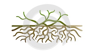 Tree Roots System Nature Vector Illustration, vector design Generative AI photo