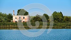 A tree in a rural house without roof, in the lagoon of Caorle, in Brussa, province of Venice