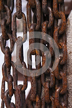 Tree rusty chains, over a white background